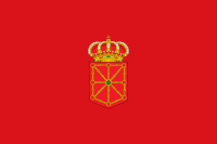 Bandera de la provincia de Navarra